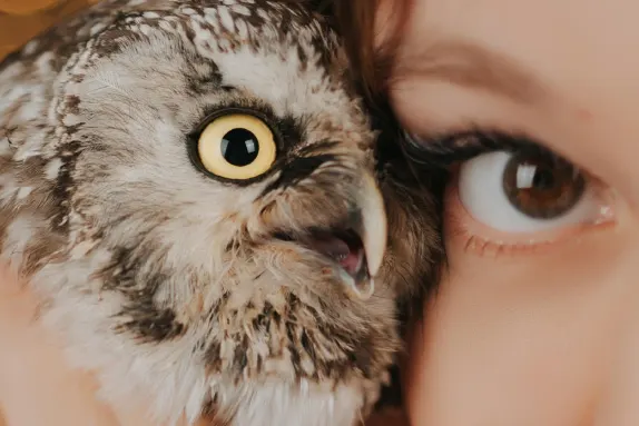 קזינו לוקו וין תמיכה